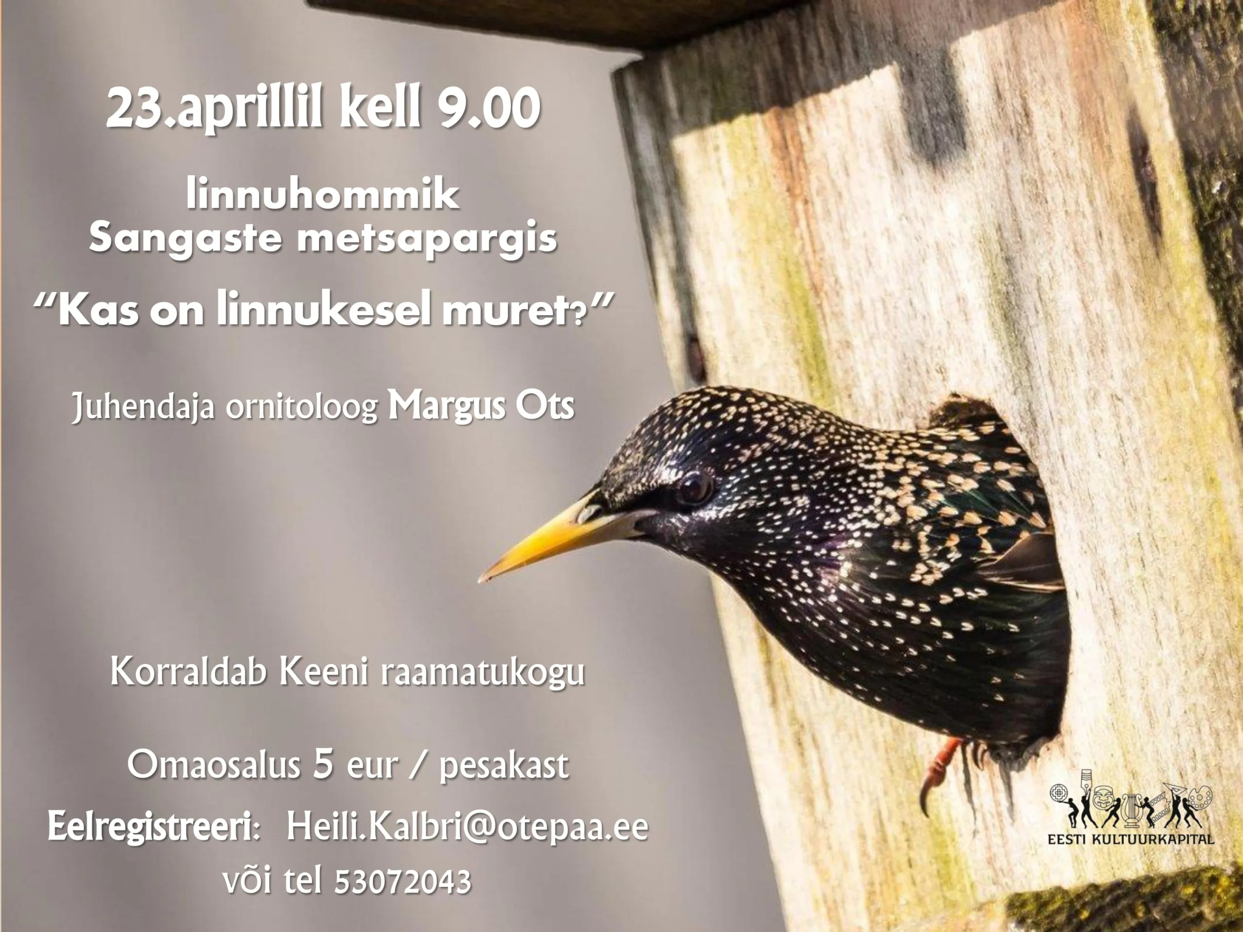 Linnuhommik Sangaste metsapargis