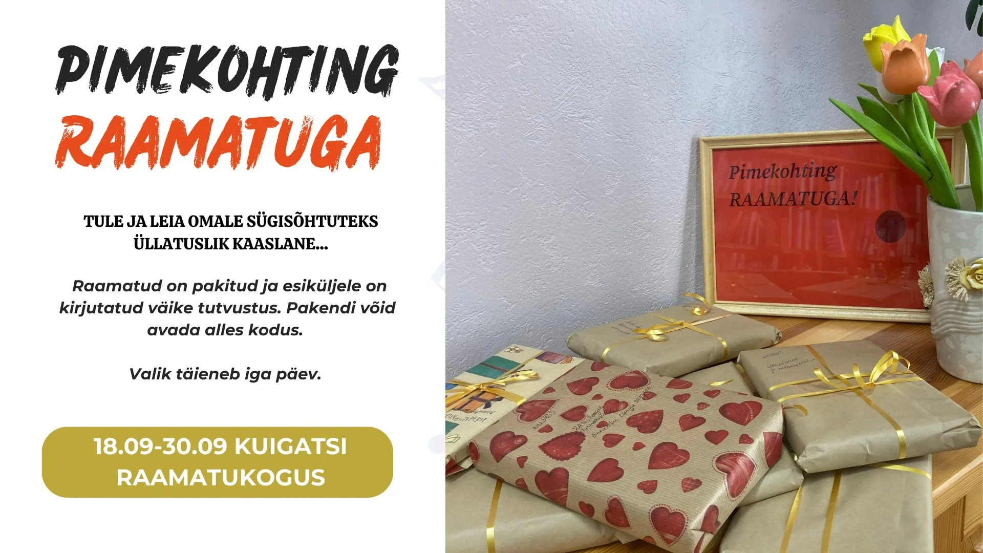 Pimekohting raamatuga