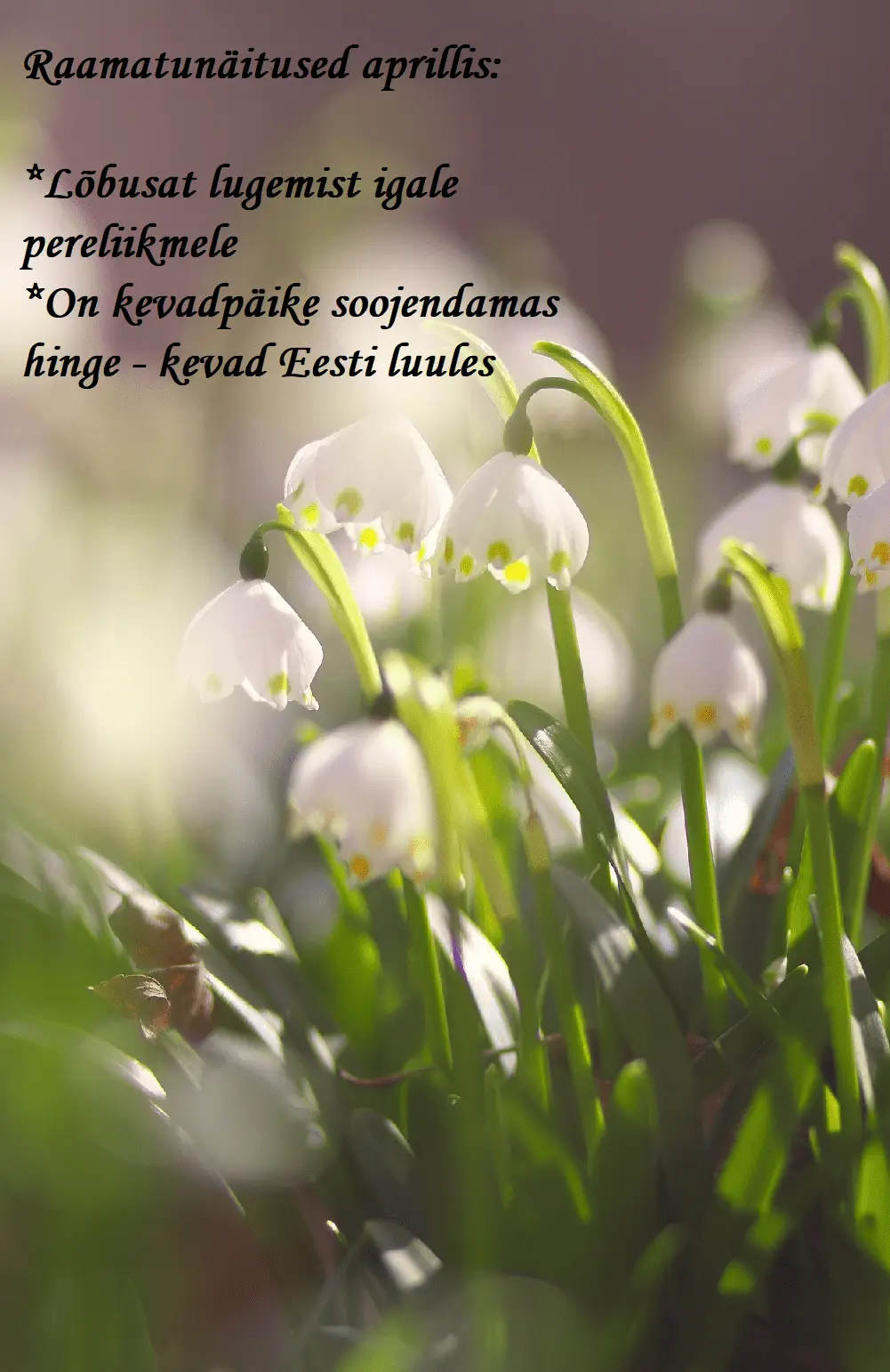 näitus