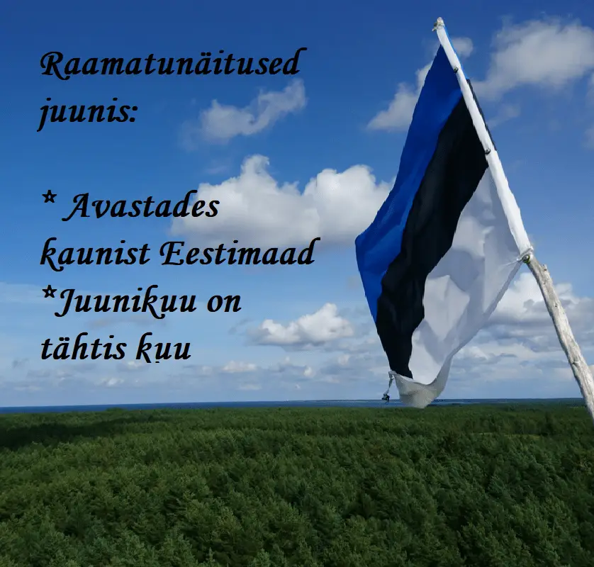 raamatunäitused pukas