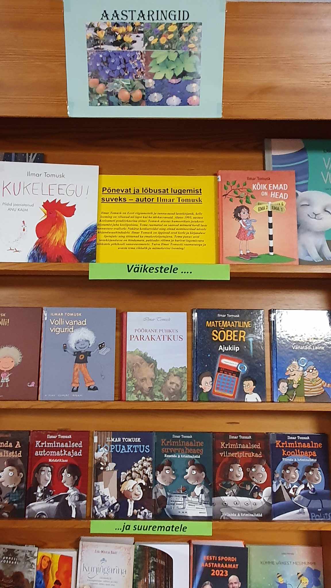 Raamatuväljapanek
